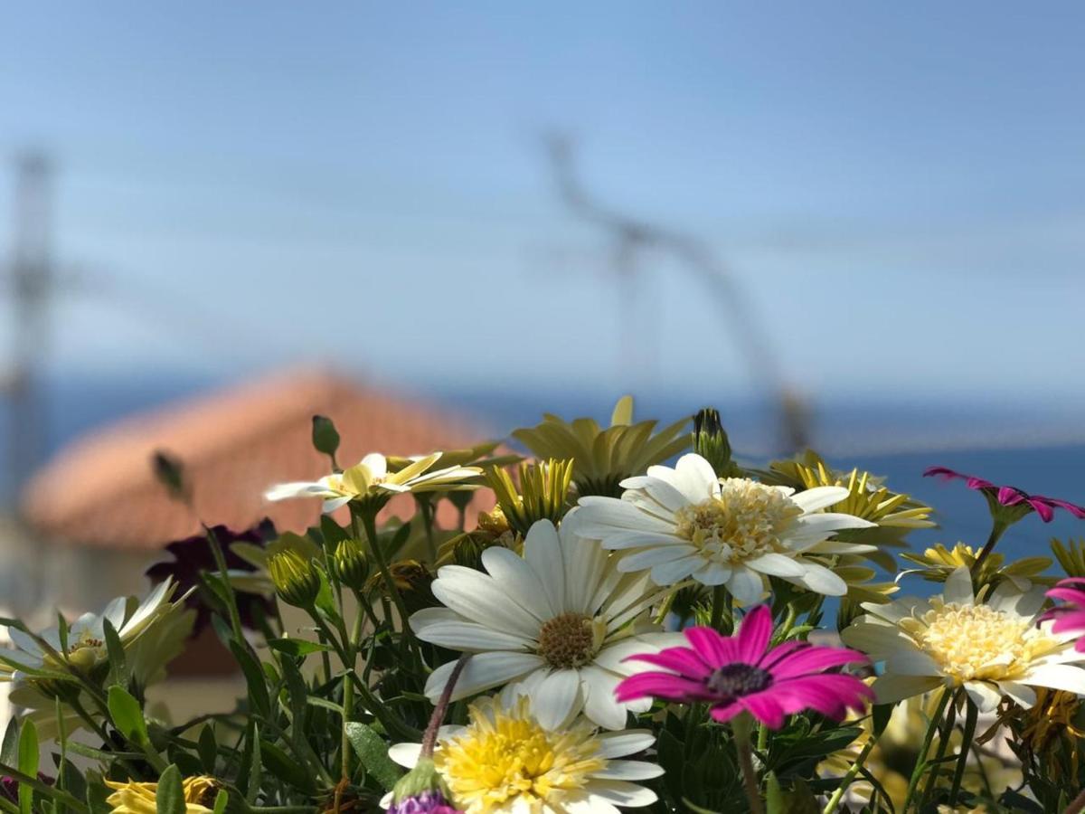 Holiday Home Ali Piqeras Екстериор снимка